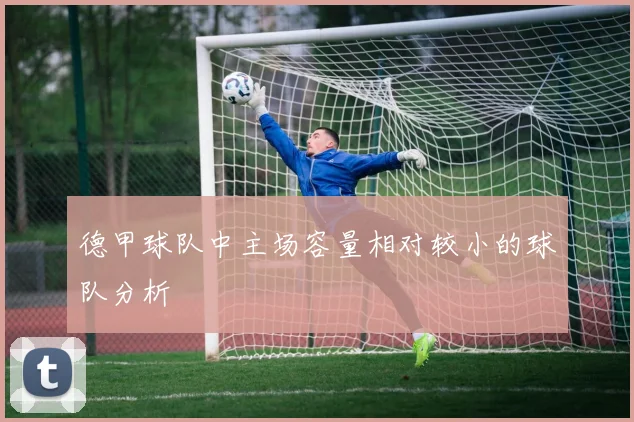 德甲球队中主场容量相对较小的球队分析