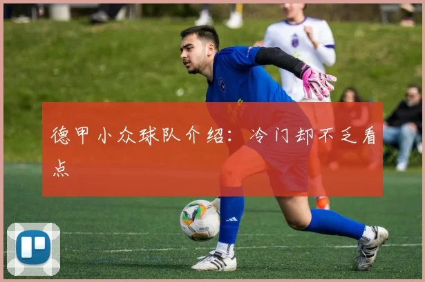 德甲小众球队介绍：冷门却不乏看点