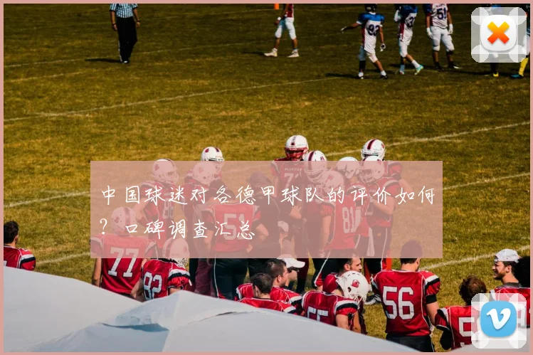 中国球迷对各德甲球队的评价如何？口碑调查汇总